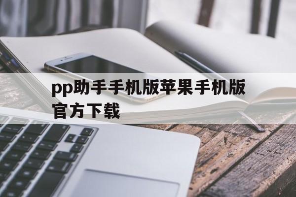 关于pp助手手机版苹果手机版官方下载的信息-第3张图片-有道翻译官网