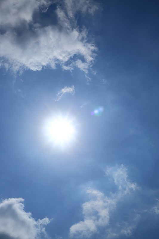 太阳视频苹果版下载(太阳视频苹果版app)