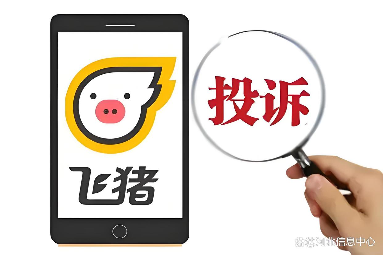 飞猪商家版app下载苹果版(飞猪商家版网址是什么)-第12张图片-有道翻译官网 飞猪商家版app下载苹果版(飞猪商家版网址是什么)-第12张图片-有道翻译官网