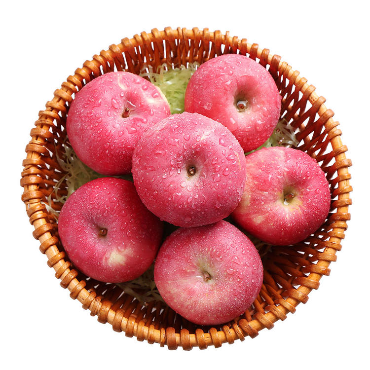 卓安版卓版苹苹果果(安卓版和苹果版是什么意思)-第4张图片-有道翻译官网