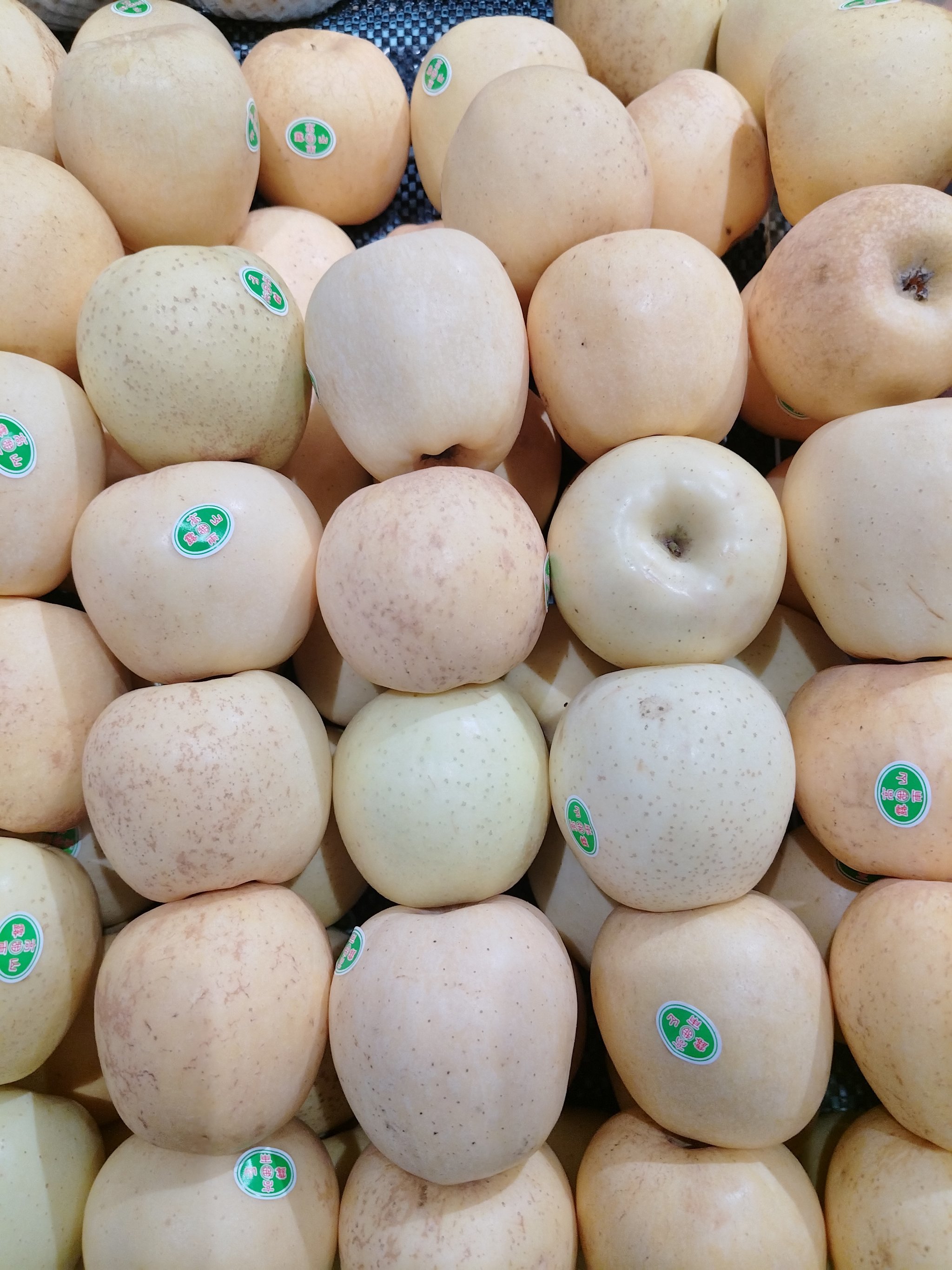 卓安版卓版苹苹果果(安卓版和苹果版是什么意思)-第10张图片-有道翻译官网